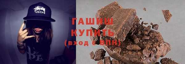 шишки Лабытнанги