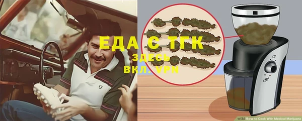 шишки Лабытнанги