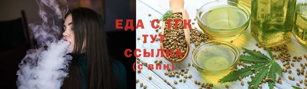 шишки Лабытнанги
