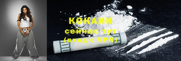 шишки Лабытнанги
