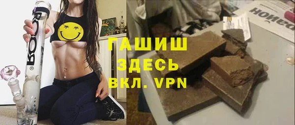 шишки Лабытнанги