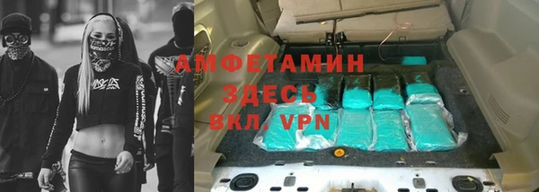 шишки Лабытнанги