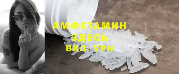 шишки Лабытнанги