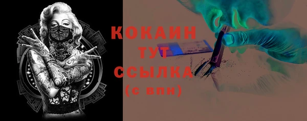 шишки Калининец