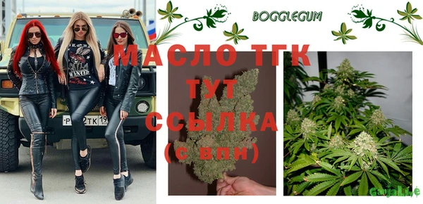 шишки Лабытнанги