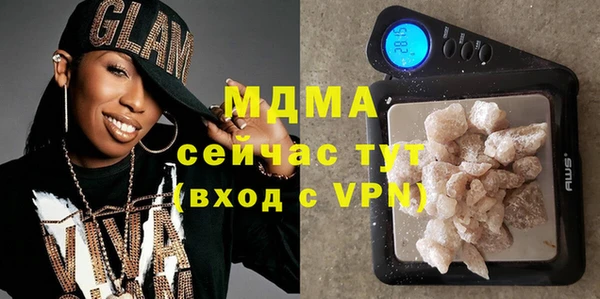 шишки Лабытнанги