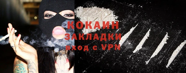 шишки Лабытнанги