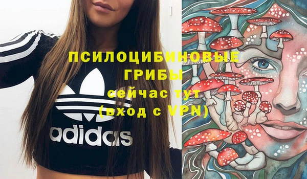 mdma Лагань
