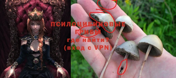 mdma Лагань