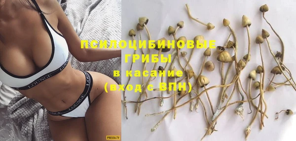MDMA Premium VHQ Ладушкин