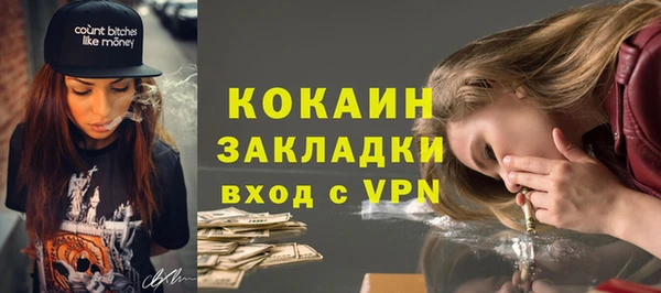 шишки Лабытнанги