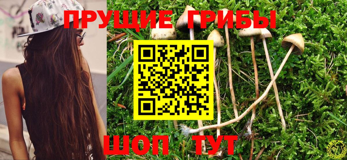 Александров  Псилоцибиновые грибы ЛСД  Вход с VPN 