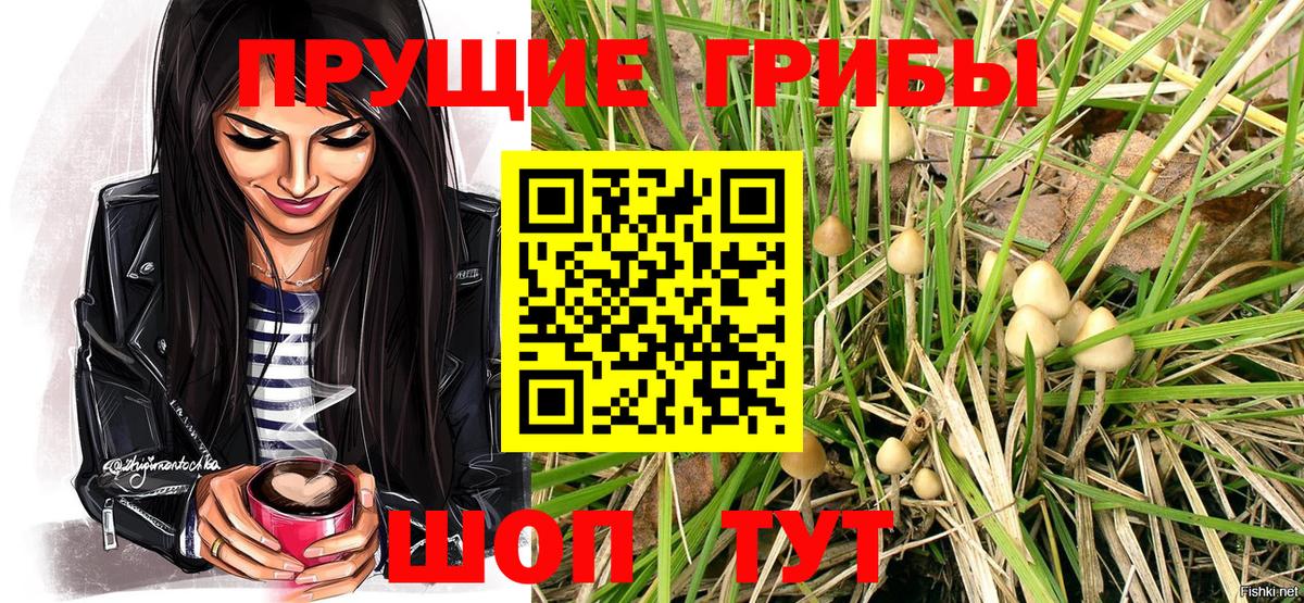 Александров  Конопля  Меф кристаллы  Alpha-PVP СОЛЬ кристаллы  ГАШИШ  ГАШ  Cocaine  Меф кристаллы  НБОМе 