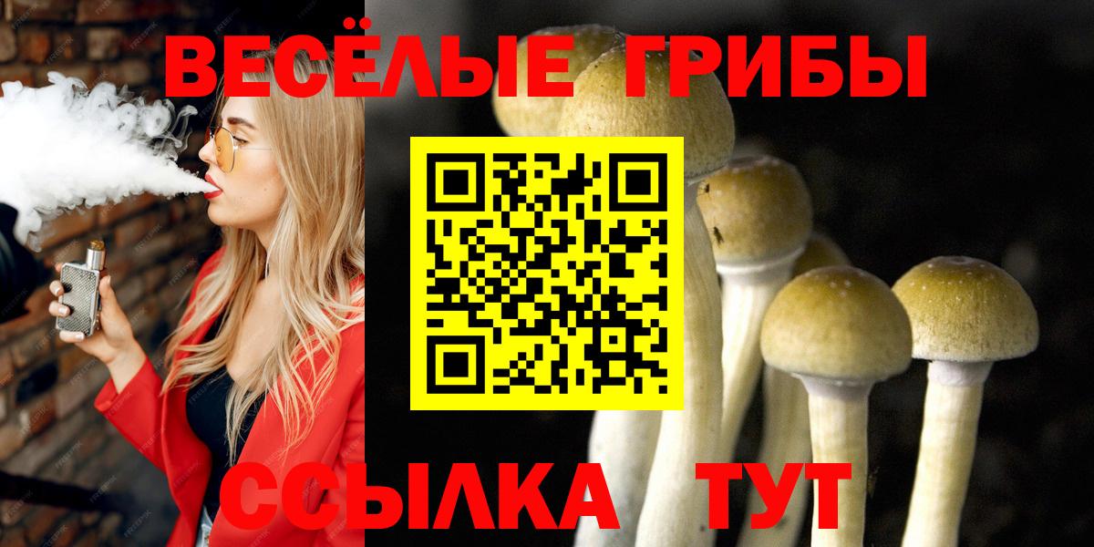 Галлюциногенные грибы GOLDEN TEACHER Александров