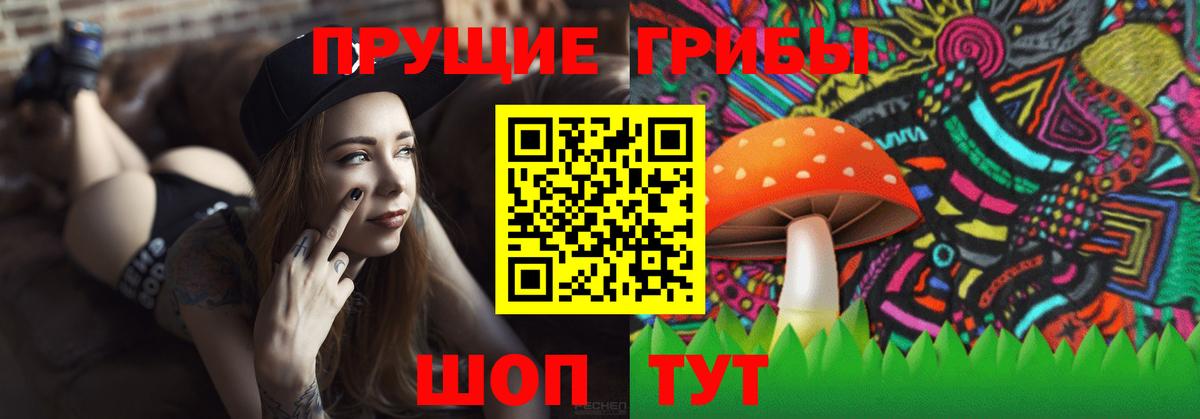 Александров  Псилоцибиновые грибы Cubensis  Вход с VPN 